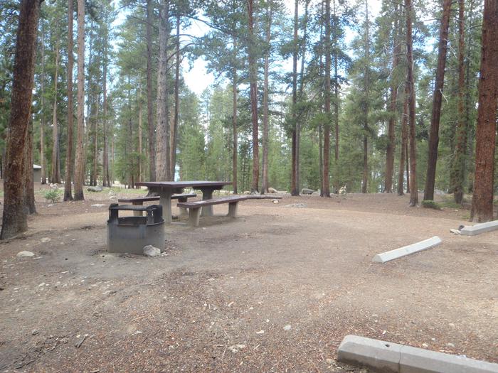 Molly Brown Campground, site 24 picnic table and fire ring 4