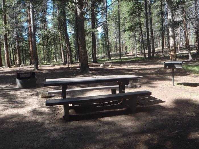 Silver Dollar Campground, site 21 picnic table and fire ring