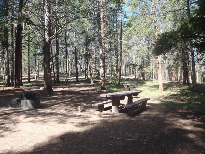 Silver Dollar Campground, site 21 picnic table and fire ring 2