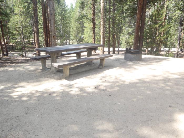 Silver Dollar Campground, site 26 picnic table and fire ring