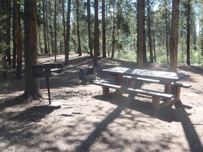 Silver Dollar Campground, site 28 picnic table and fire ring