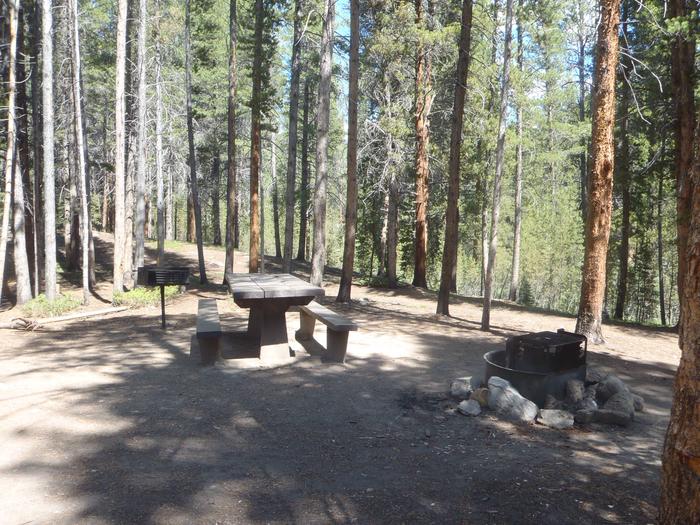 Silver Dollar Campground, site 29 picnic table and fire ring