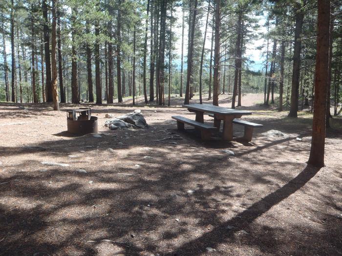 Silver Dollar Campground, site 35 picnic table and fire ring