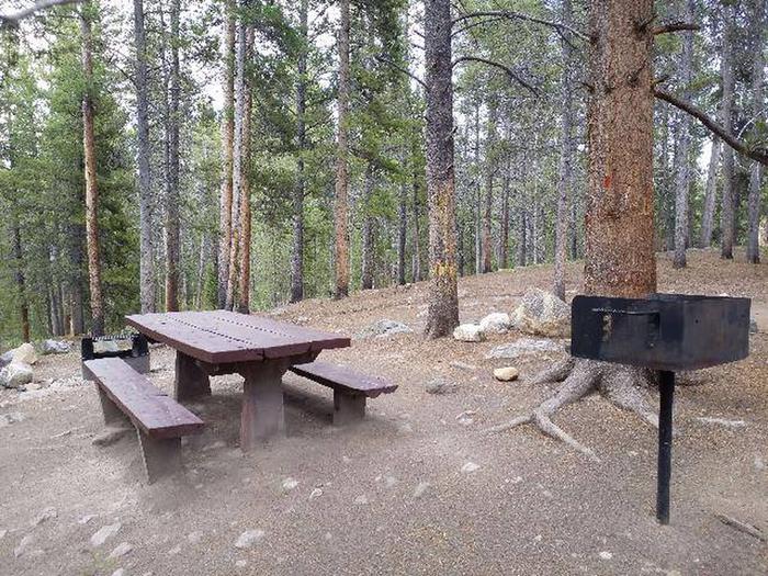 Silver Dollar Campground, site 23 picnic table and grill