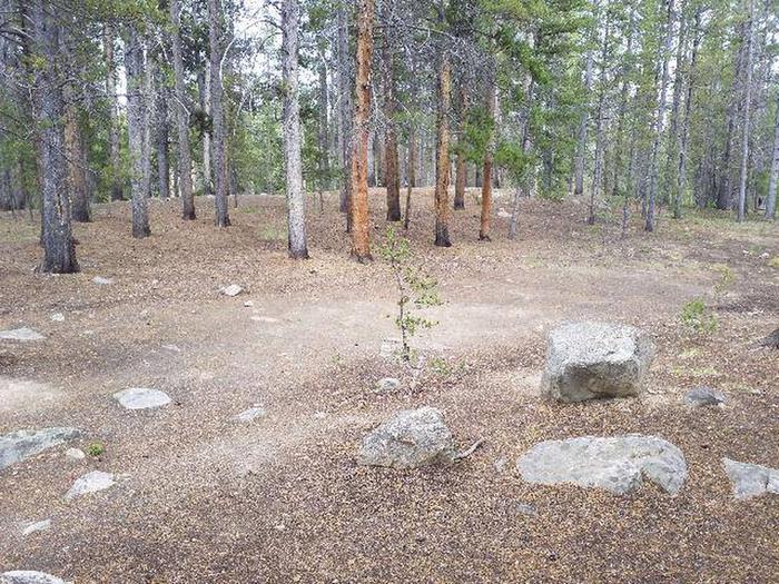 Silver Dollar Campground, site 23 clearing