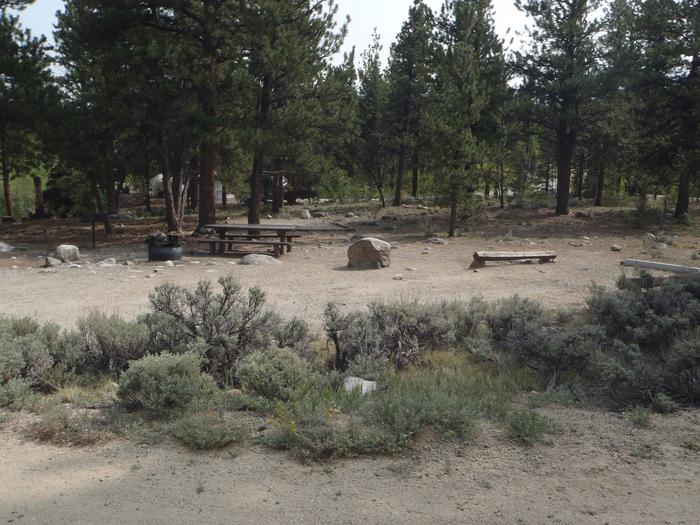 White Star Campground, site 61 picnic table and fire ring 2