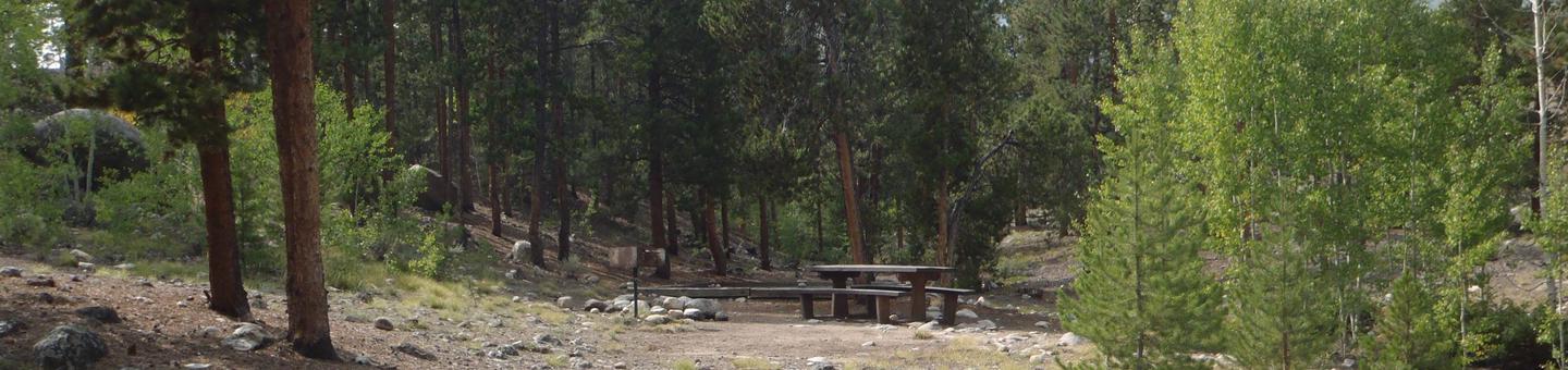 White Star Campground, site 65