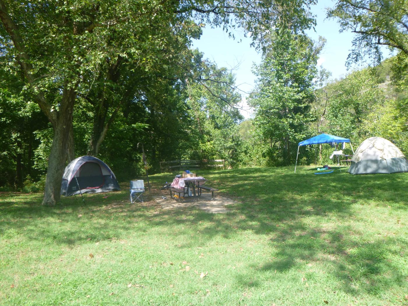 Site Walk-in: Q, Buffalo Point - Recreation.gov