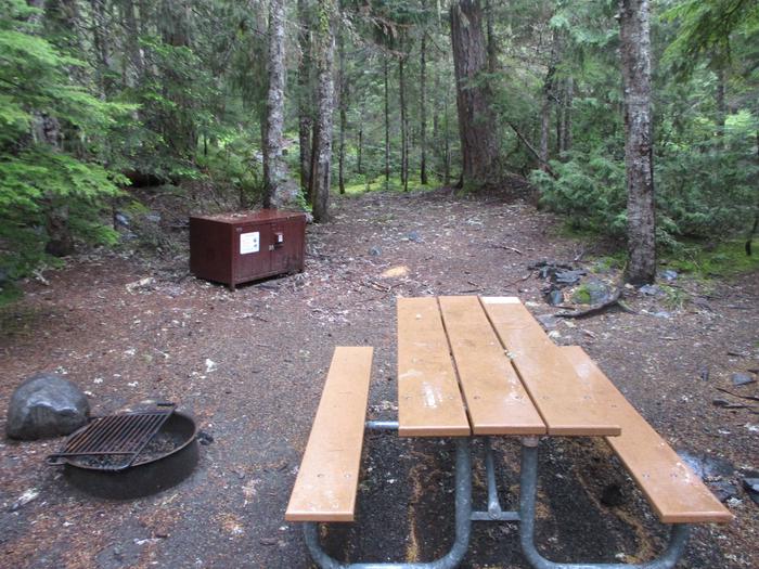 Picnic Table, Fire ring, and Bear box