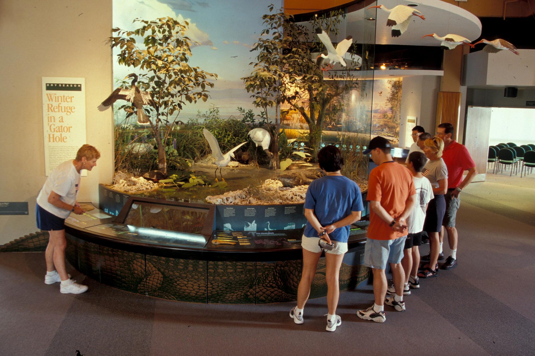 Ernest Coe Wildlife Display