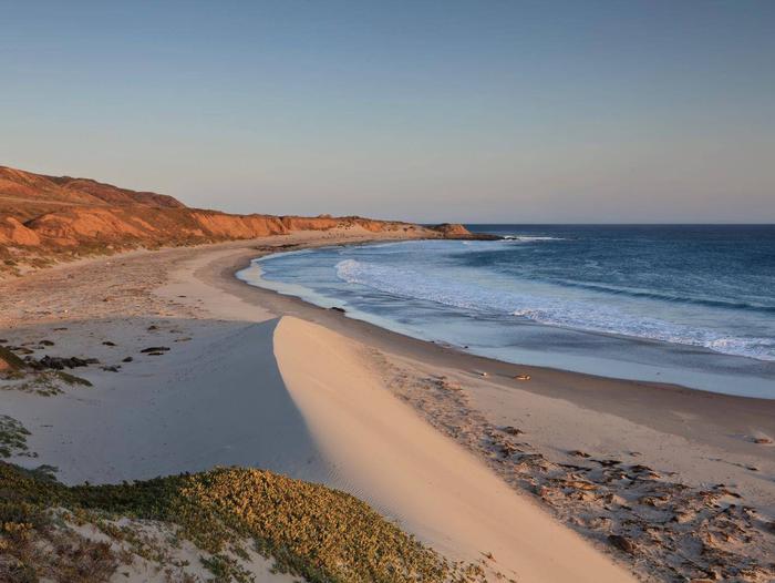 Sandy beach with dunes, ocean and small waves and steep coastal bluffs covered in dry grass.   