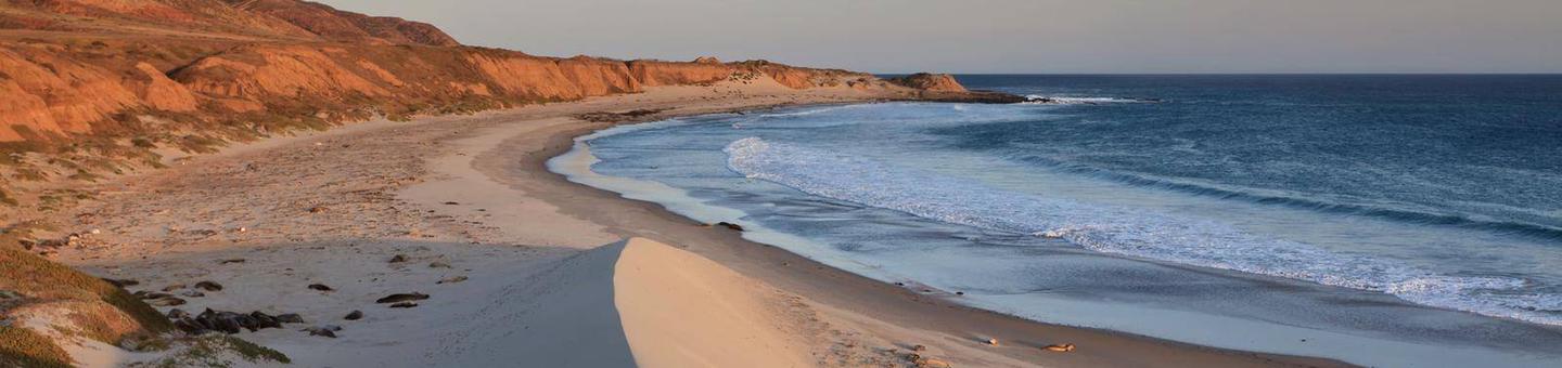Sandy beach with dunes, ocean and small waves and steep coastal bluffs covered in dry grass.      