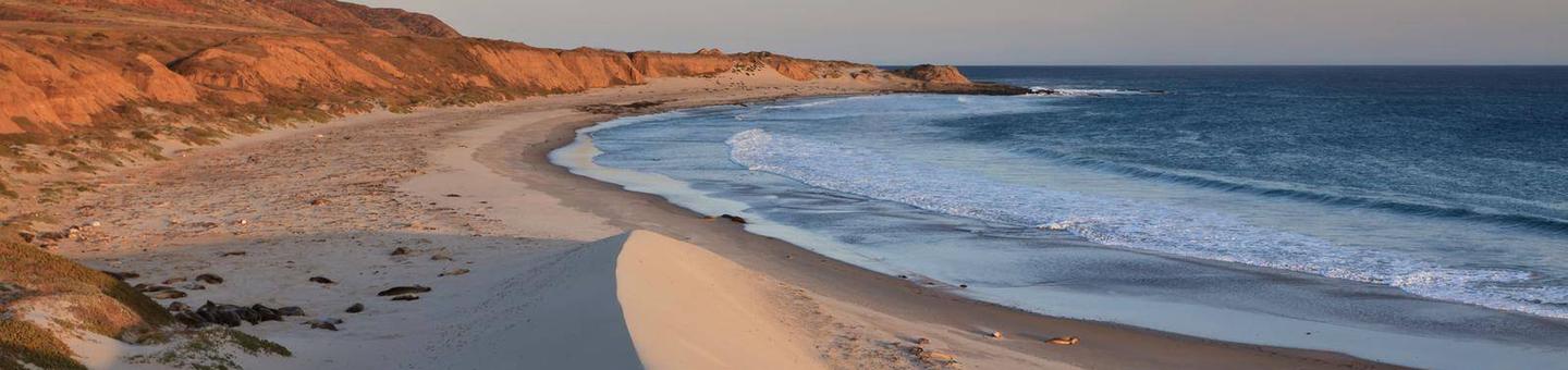Sandy beach with dunes, ocean and small waves and steep coastal bluffs covered in dry grass.      