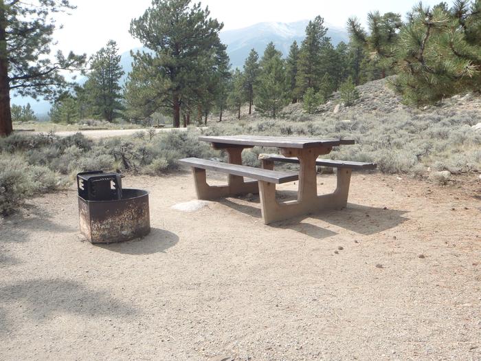 Lakeview Campground, site E10 picnic table and fire ring 2