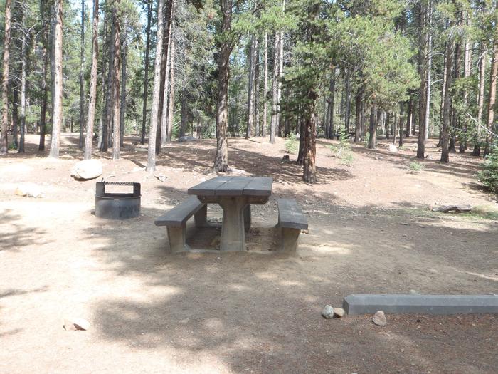 Baby Doe Campground, Site 5 picnic table and fire ring