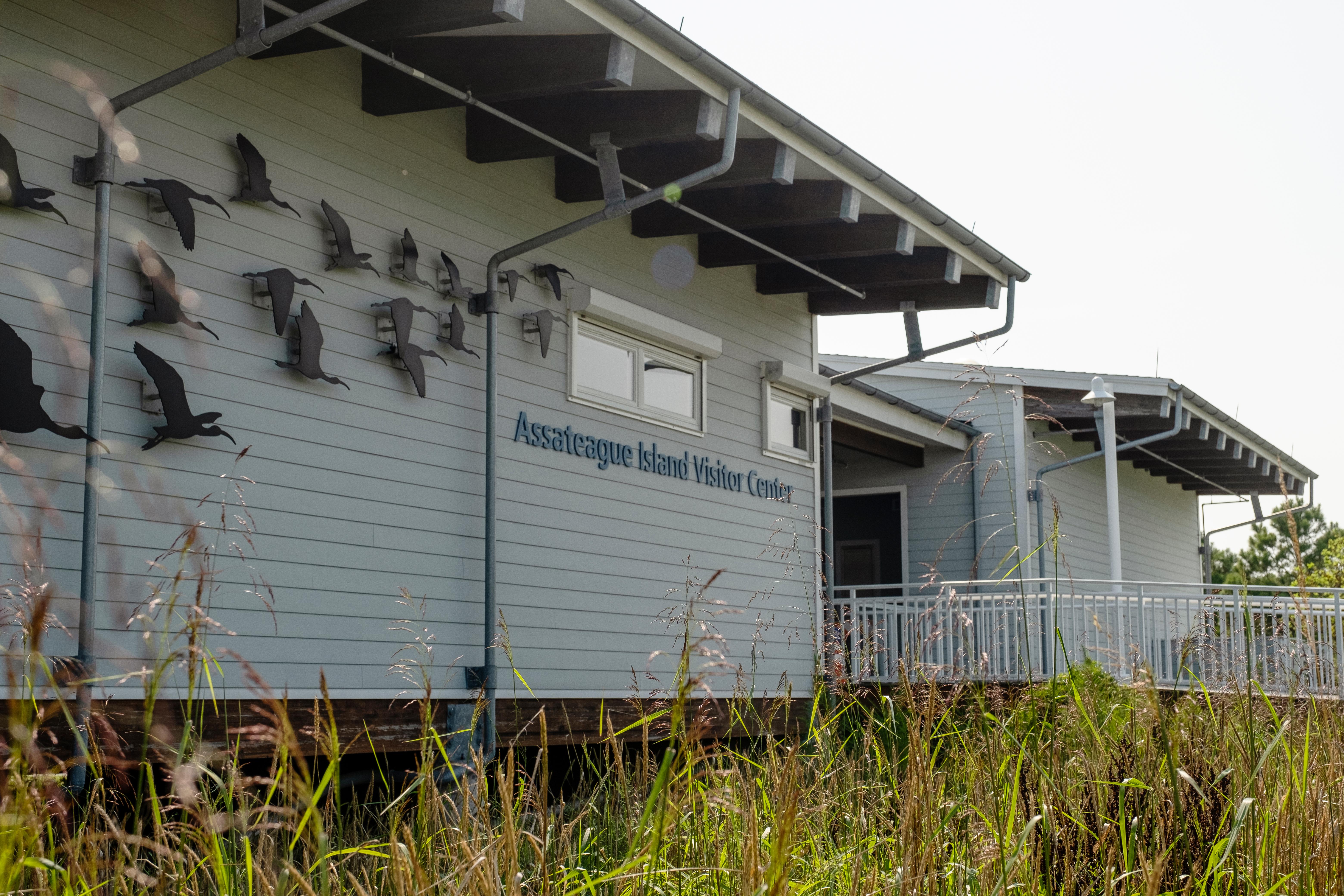 Assateague State Park