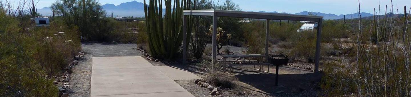 Pull-thru site with a picnic table covered with a sunshade, cactus and desert vegetation surround site. Site 001