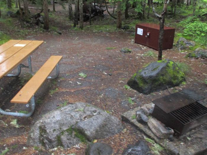 picnic table, bear box, and fire pit