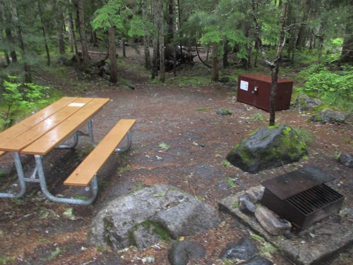picnic table, bear box, and fire pit