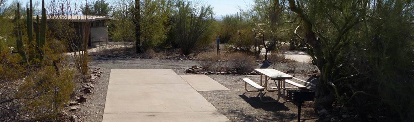 Pull-thru campsite with picnic table and grill, cactus and desert vegetation surround site.  Site 013