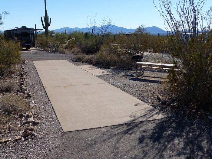 Pull-thru campsite with picnic table and grill, cactus and desert vegetation surround site.  Site 018