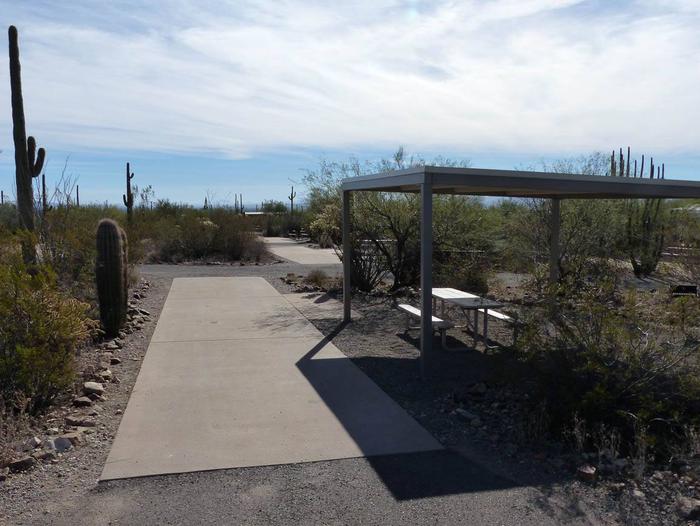 Pull-thru campsite with sunshade, picnic table and grill, cactus and desert vegetation surround site.  Site 021
