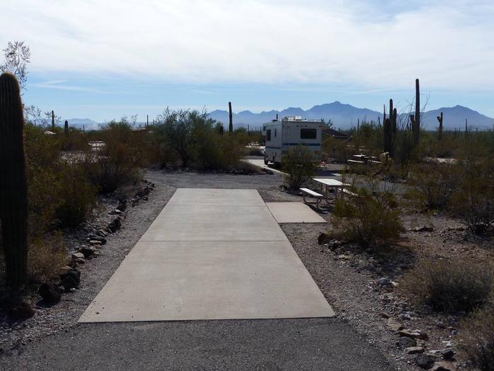 Pull-thru campsite with picnic table and grill, cactus and desert vegetation surround site.  Site 35