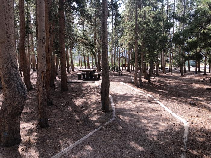 walk way to picnic table and fire pit