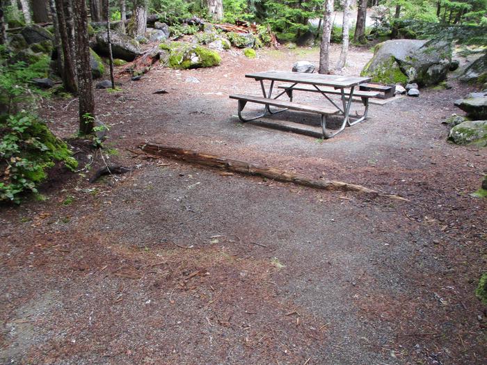 Picnic Table, Fire Pit, and Tent Pad
