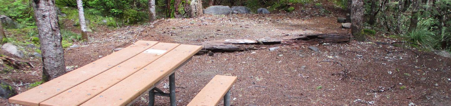 Picnic Table and Tent Pad