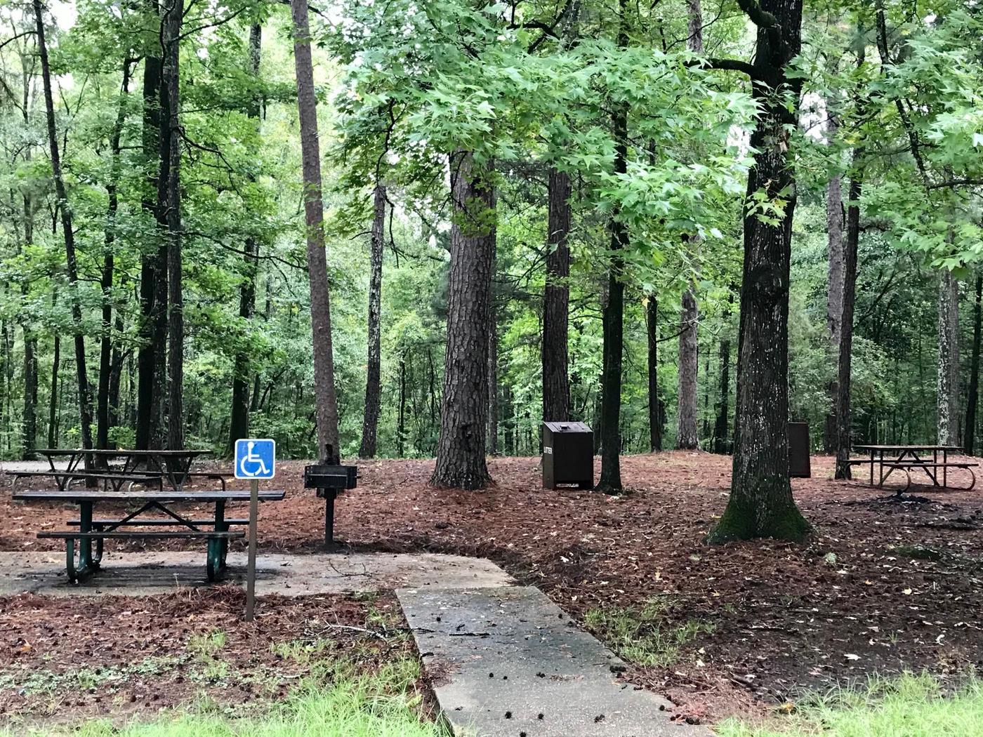 Rocky Springs Campground, Natchez Trace Parkway - Recreation.gov