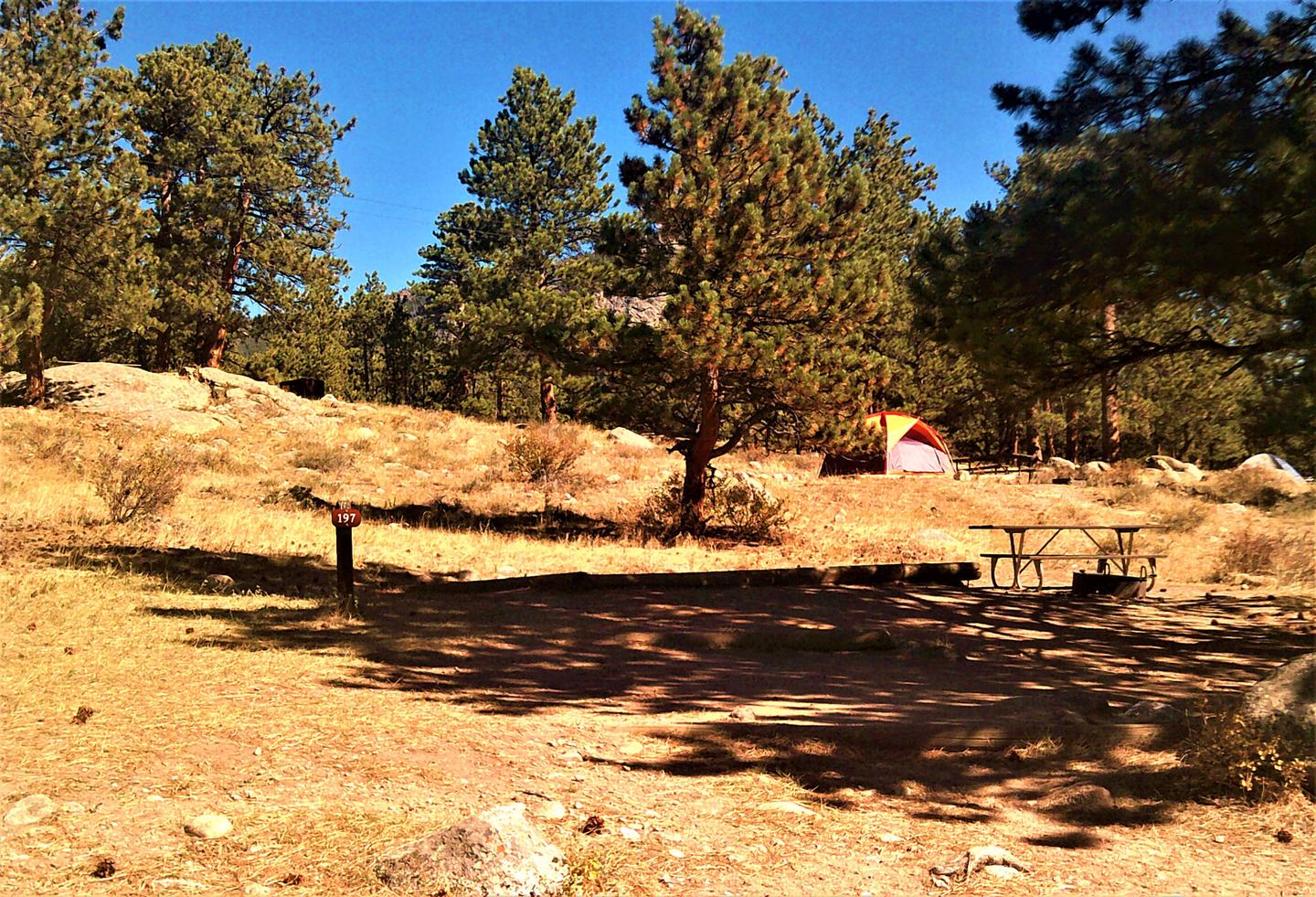 B 197 (1)tent-only campsite