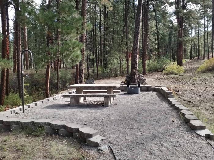 A stone picnic table, gravel surface, and fire ring near a creek with pine trees.Panchuela Site 5
