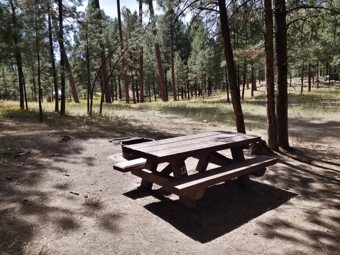 Site 22 sits in the sunlight and provides a picnic table and metal fire ring.Site 22