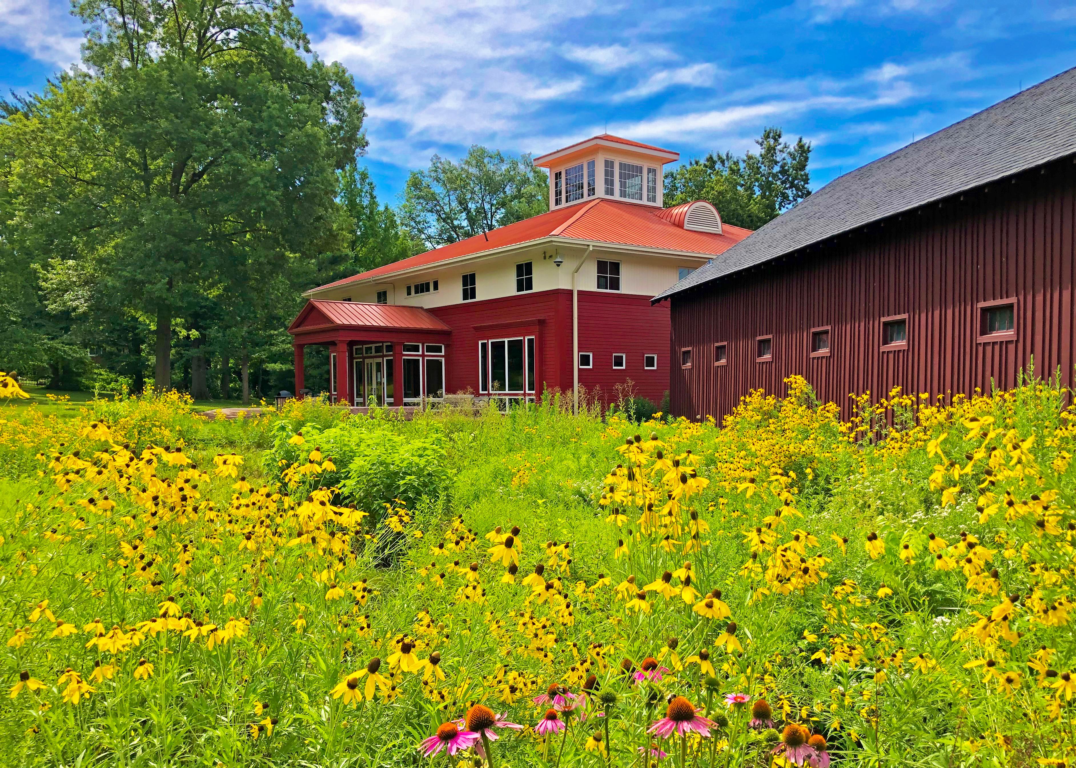 Visitor Center and Rain Garden