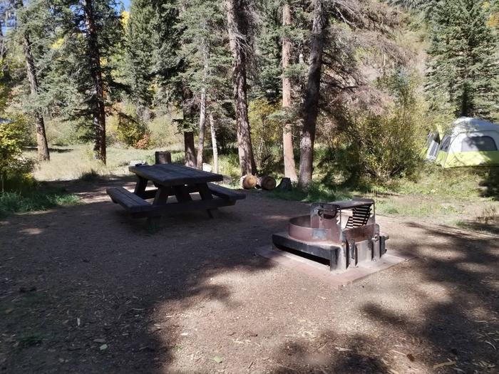 A campsite with shaded picnic table, fire ring and grill combo, with trees and a tent in the background.Site 4