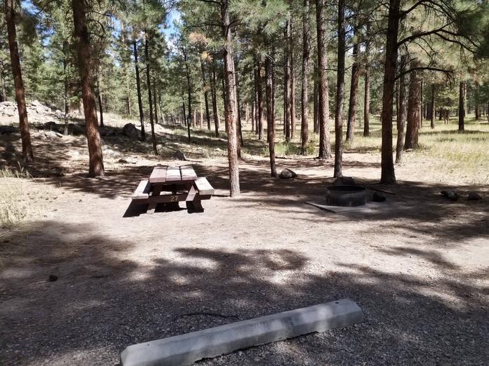 Site 27 provides a picnic table, metal fire ring, and back in parking.Site 27