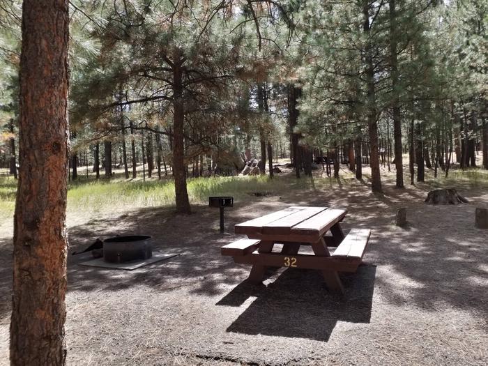A picnic table in the sun with a fire ring, grill and pines in the background.Site 32