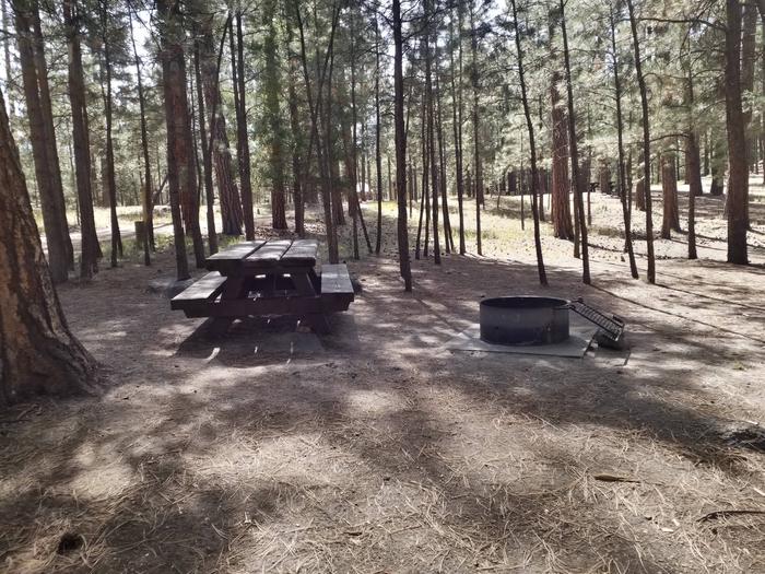 A picnic table with a metal fire ring are shaded by pine trees.Site 35