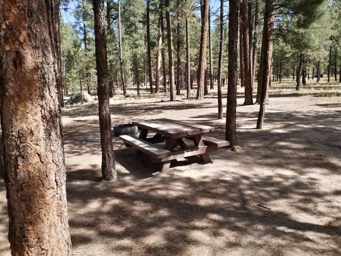 Site 37 has young ponderosa pines shading the picnic table and fire ring.Site 37