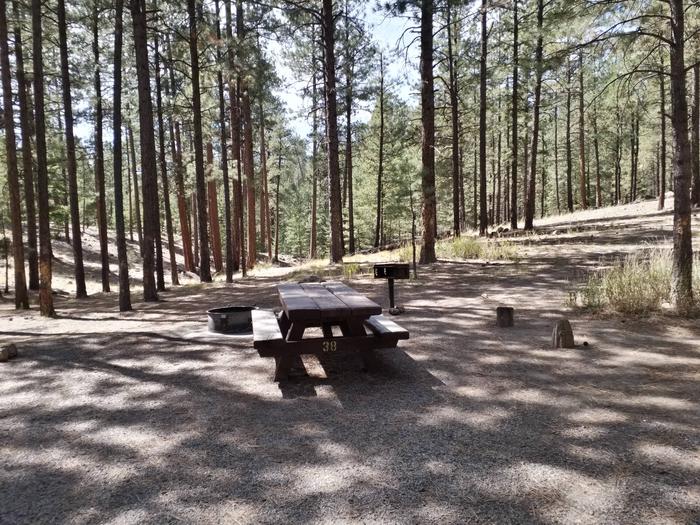A campsite with a picnic table and fire ring is shaded by pine trees.Site 38