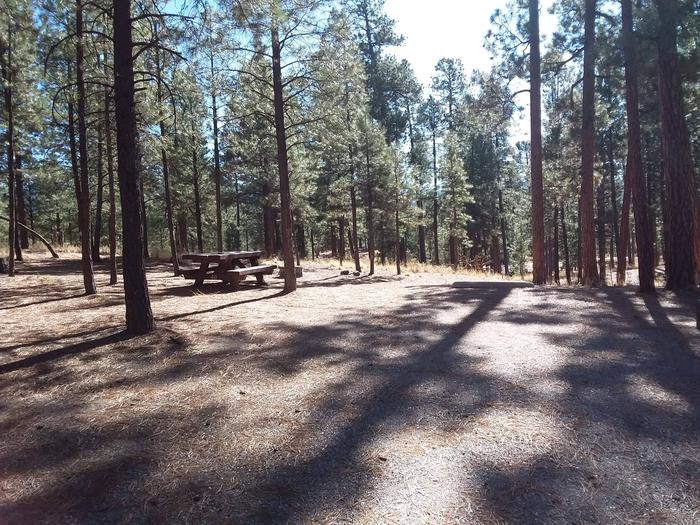 A bright sun and pines surround a picnic table and fire ring.Site 48