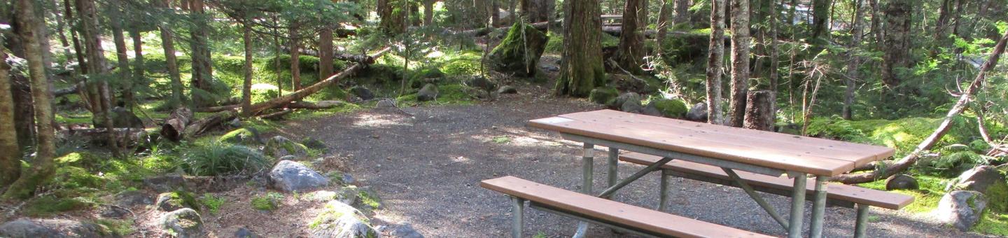 Picnic Table and Tent Pad