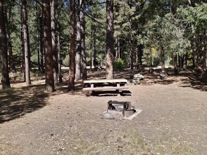 Site 10 with picnic table, fire ring, and parking.