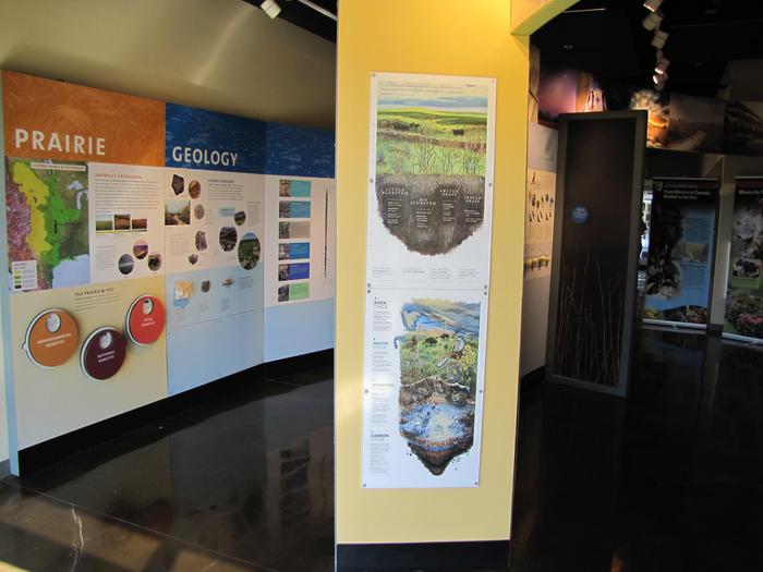 VC Interior 1Exhibits delve into the many factors shaping prairie ecology.