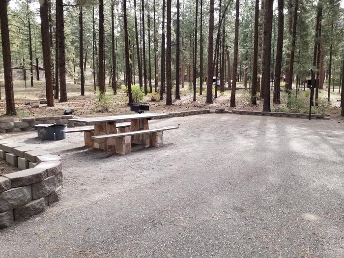 Pines trees shade the picnic table, fire ring and grill on the gravel surface campsite.Site 18