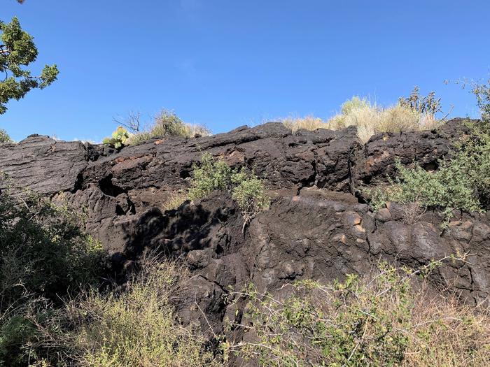Lava rock and vegetation.View of scenery behind shelter.
