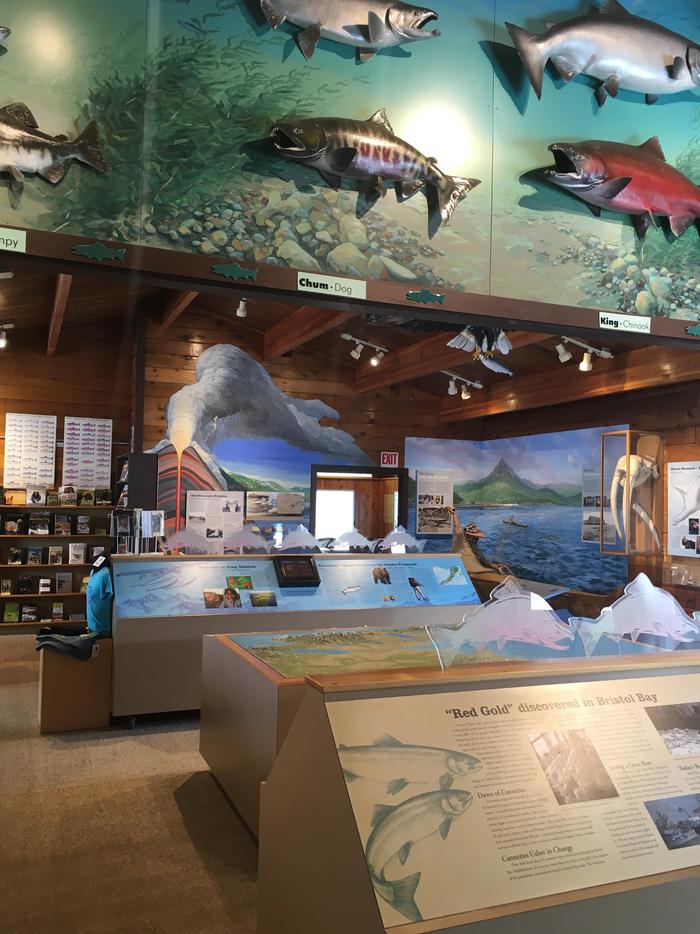 Interior of KSVC #2Upon entering the King Salmon Visitor Center, guests will see exhibits highlighting natural and cultural resources of the surrounding area.
