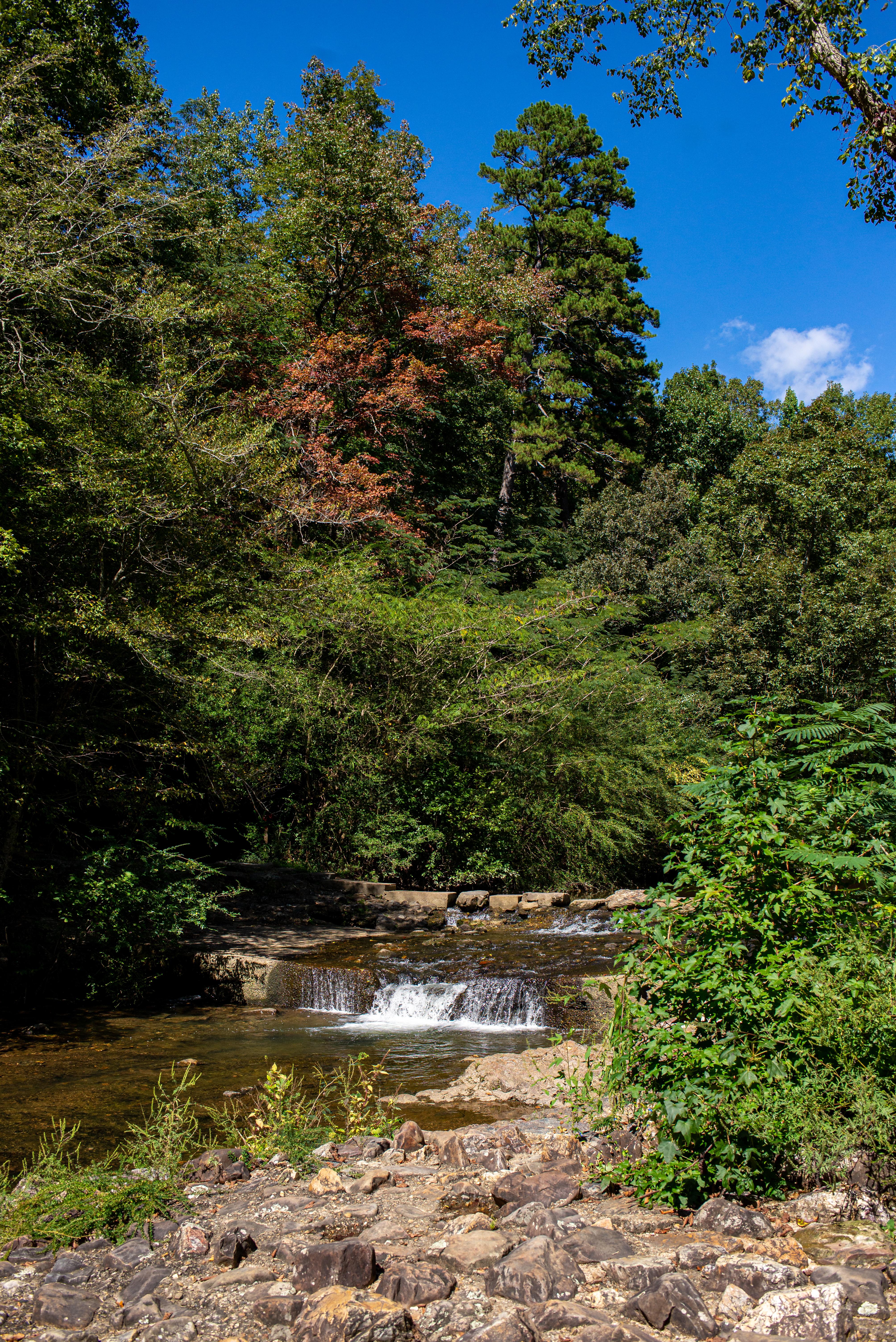 Gulpha Gorge Campground