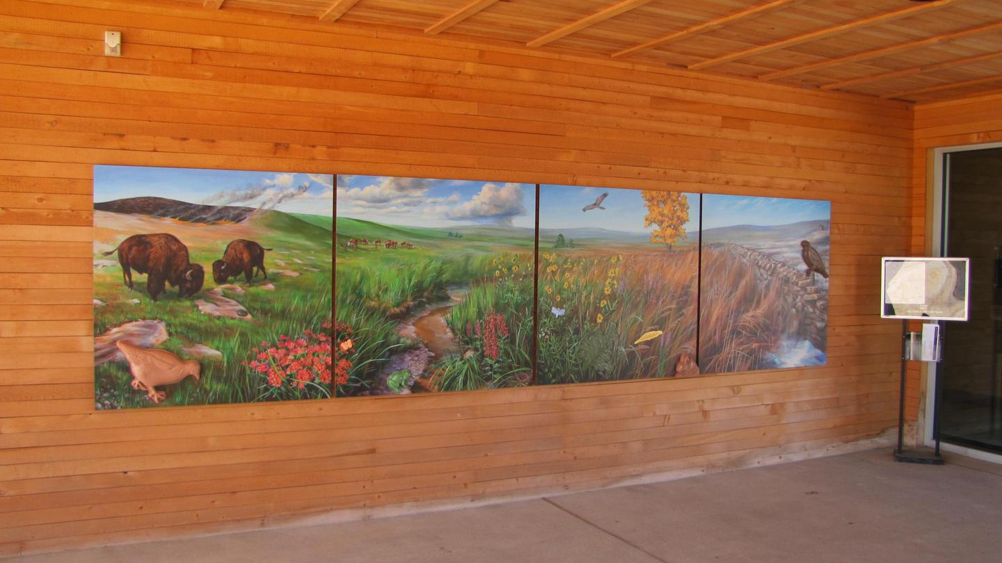 Visitor Center MuralAmy Bartlett Wright's 4 piece mural raises features of the prairie ecosystem.